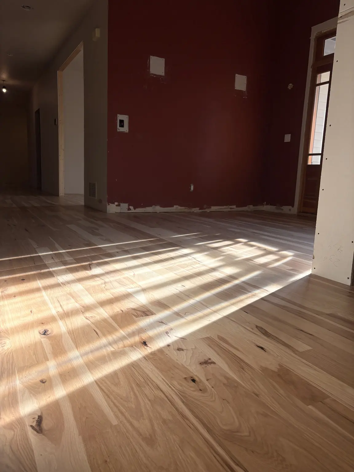 Sunlight across newly finished natural hardwood flooring