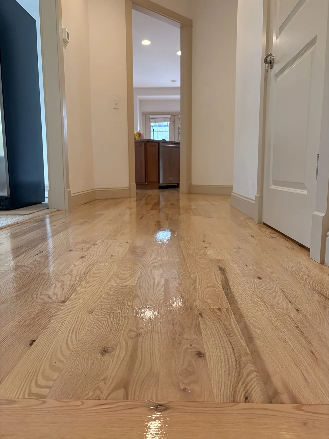 Low-angle view of newly coated hardwood flooring