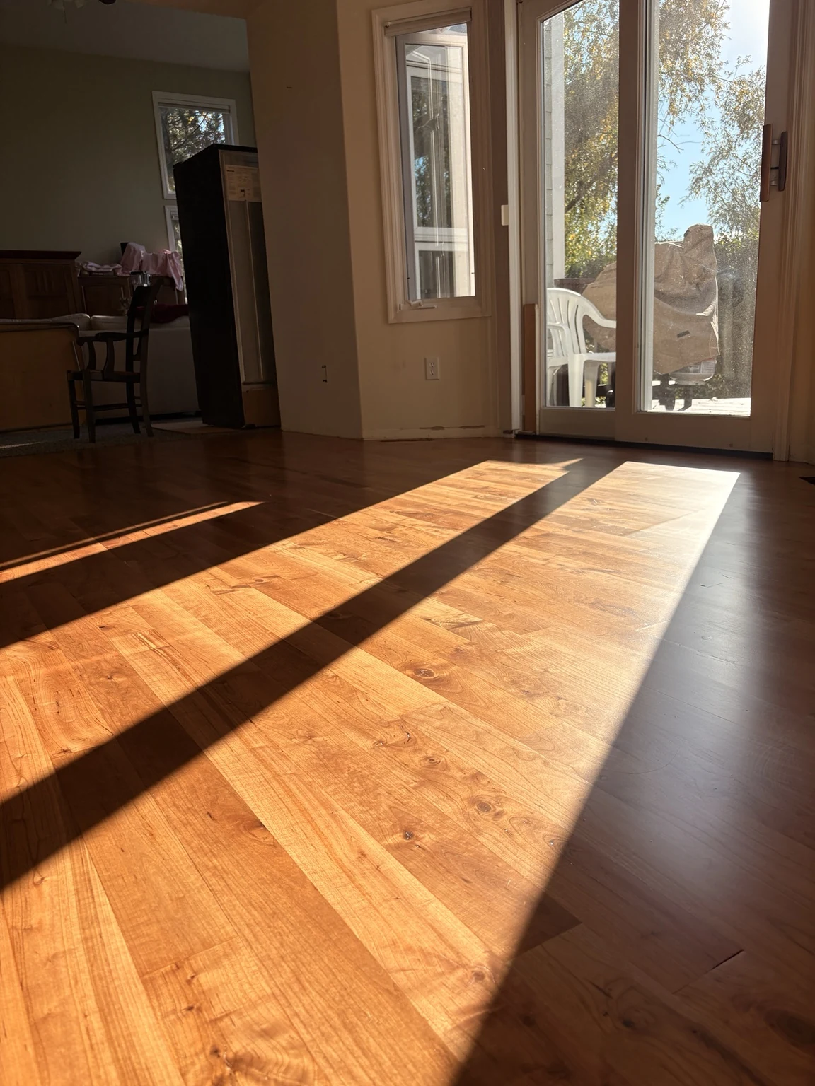 Sunlight across warm hardwood flooring beside patio doors